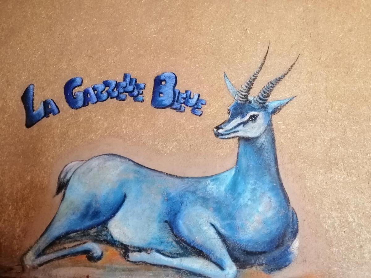 فندق مرزوكةفي  La Gazelle Bleue المظهر الخارجي الصورة